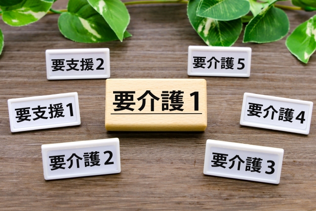 要介護度